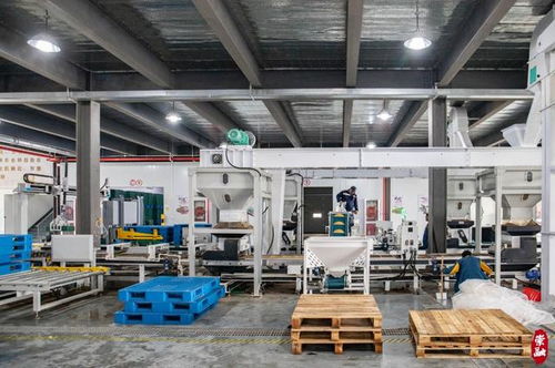 太酷了！崇明这座“未来工厂”，全国领先的艾西智酷